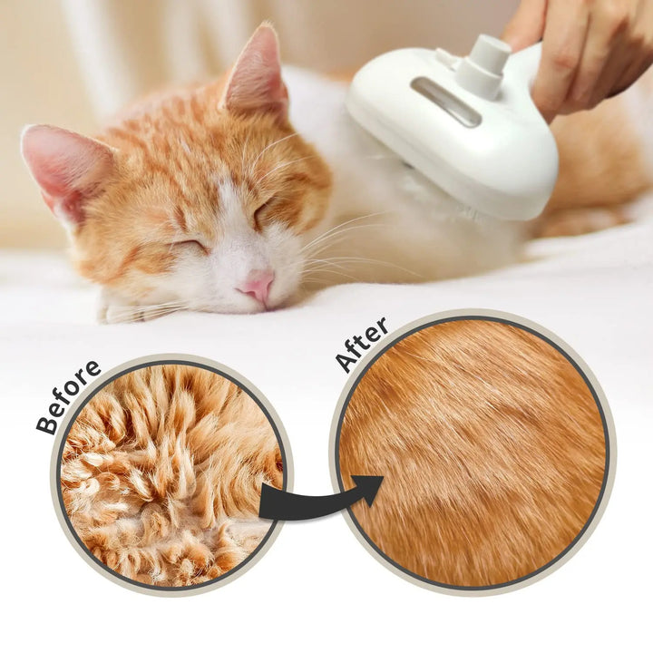 FURÉ™ – PET BRUSH