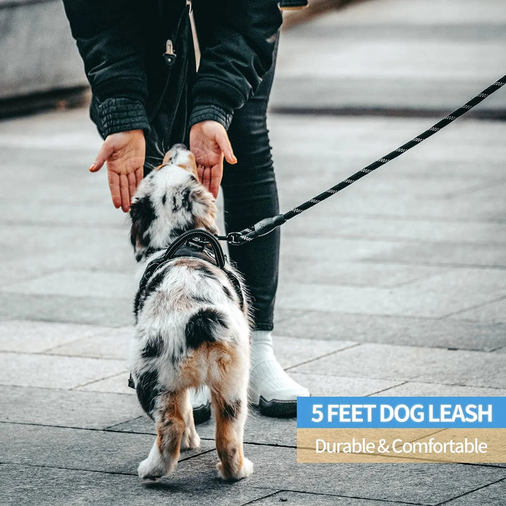 POWERLEAD™ – HEAVY-DUTY DOG LEASH