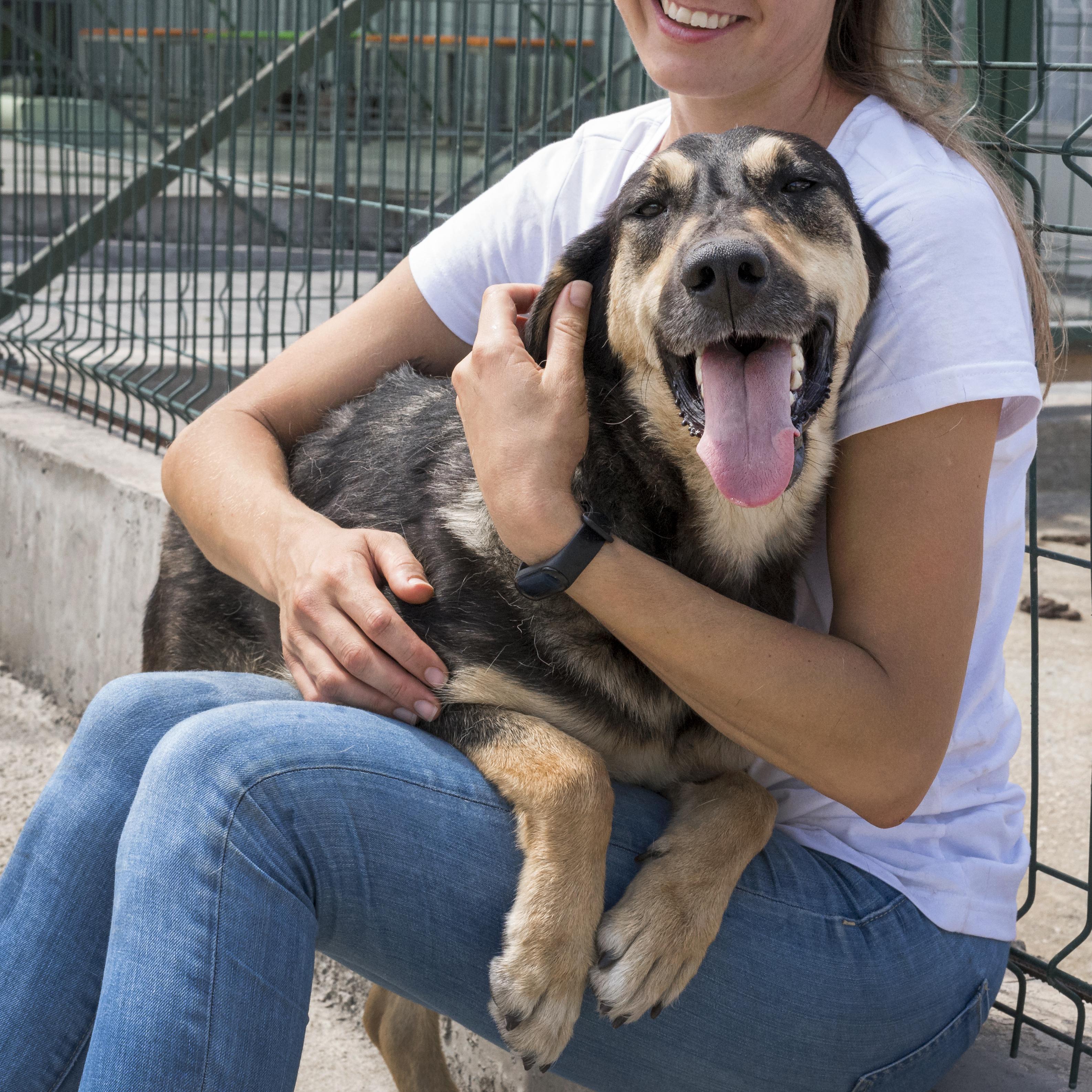 files/cute-dog-playing-with-woman-shelter-adoption_1.jpg