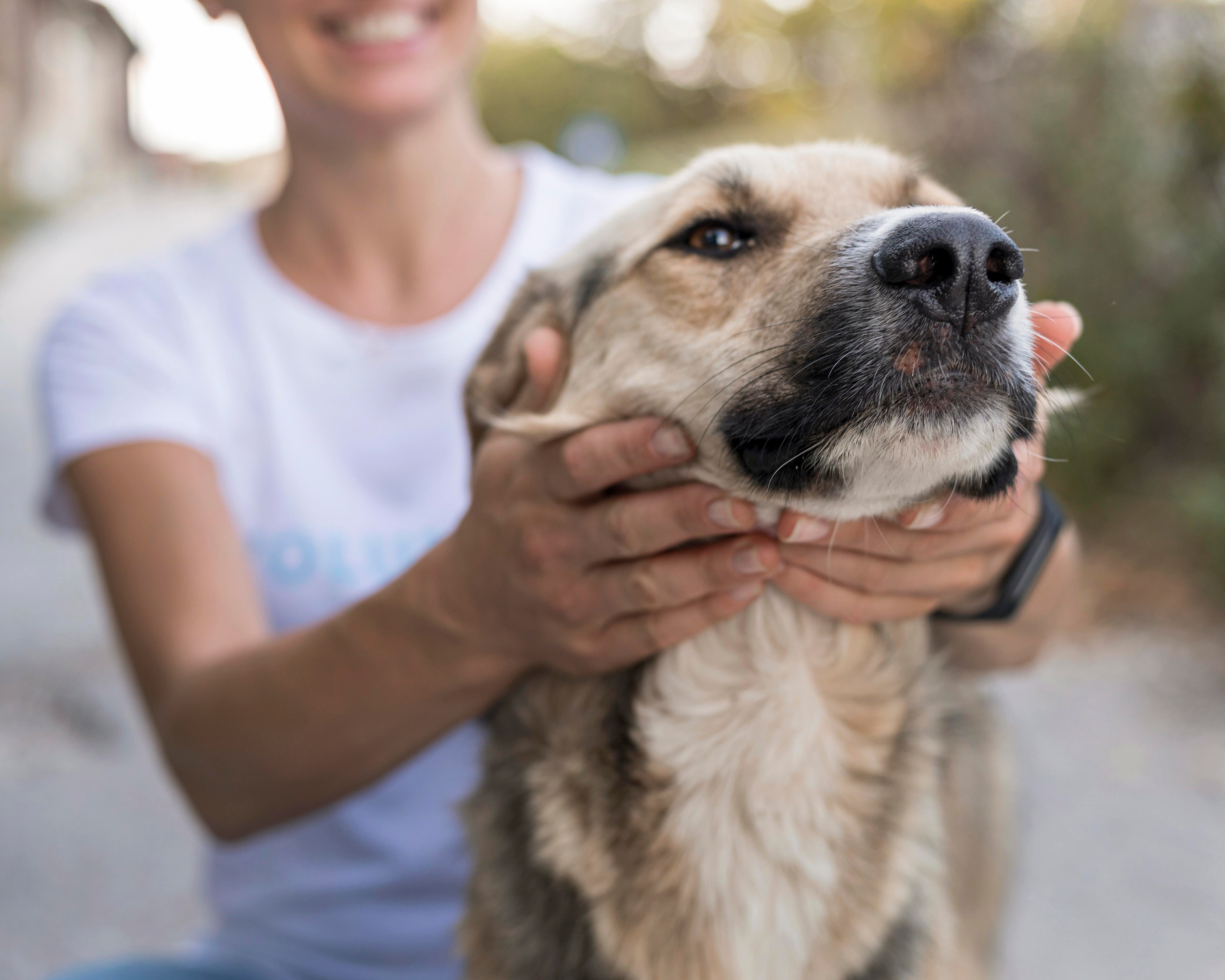 files/smiley-woman-playing-with-cute-dog-outdoors.jpg