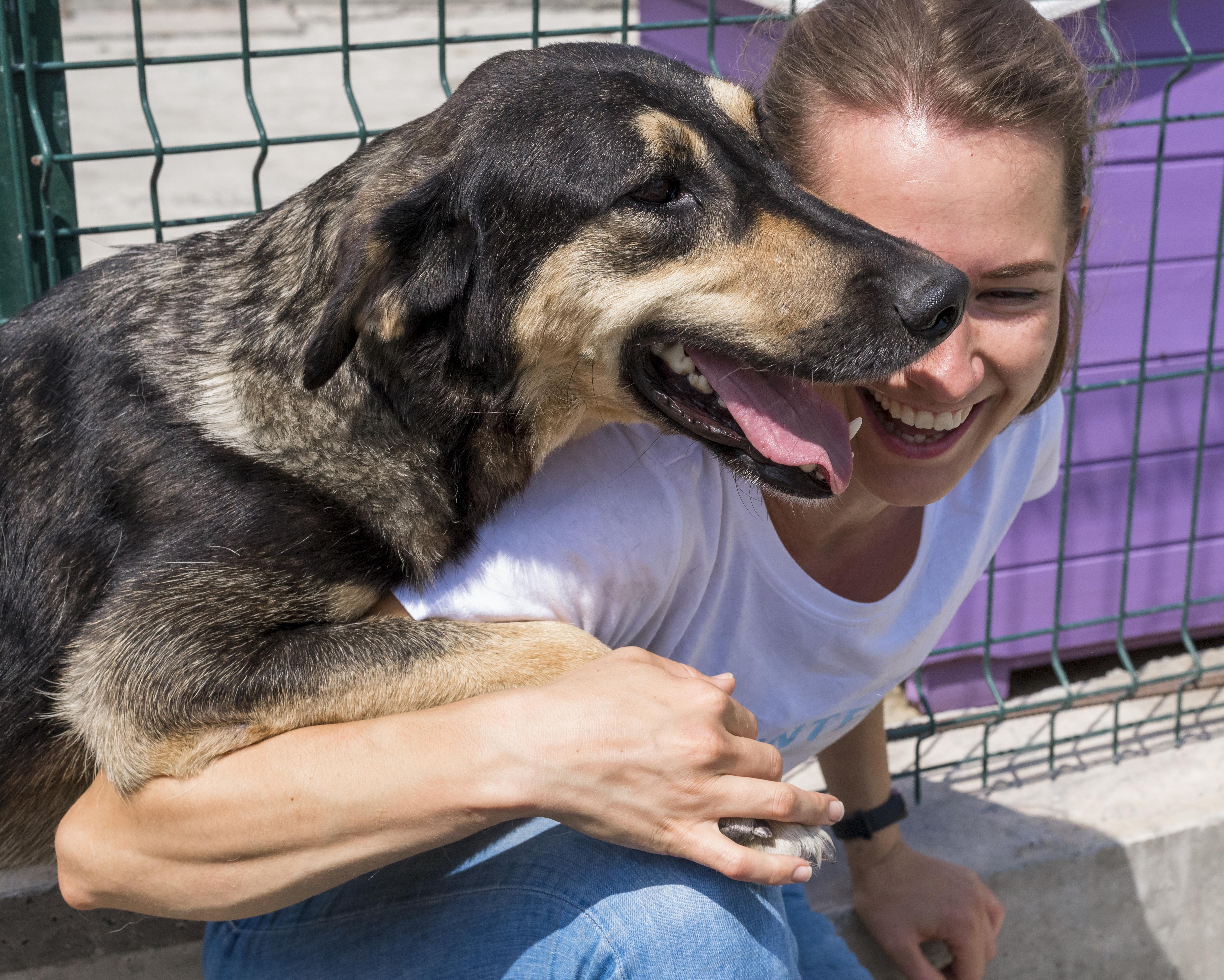 files/smiley-woman-playing-with-dog-up-adoption.jpg