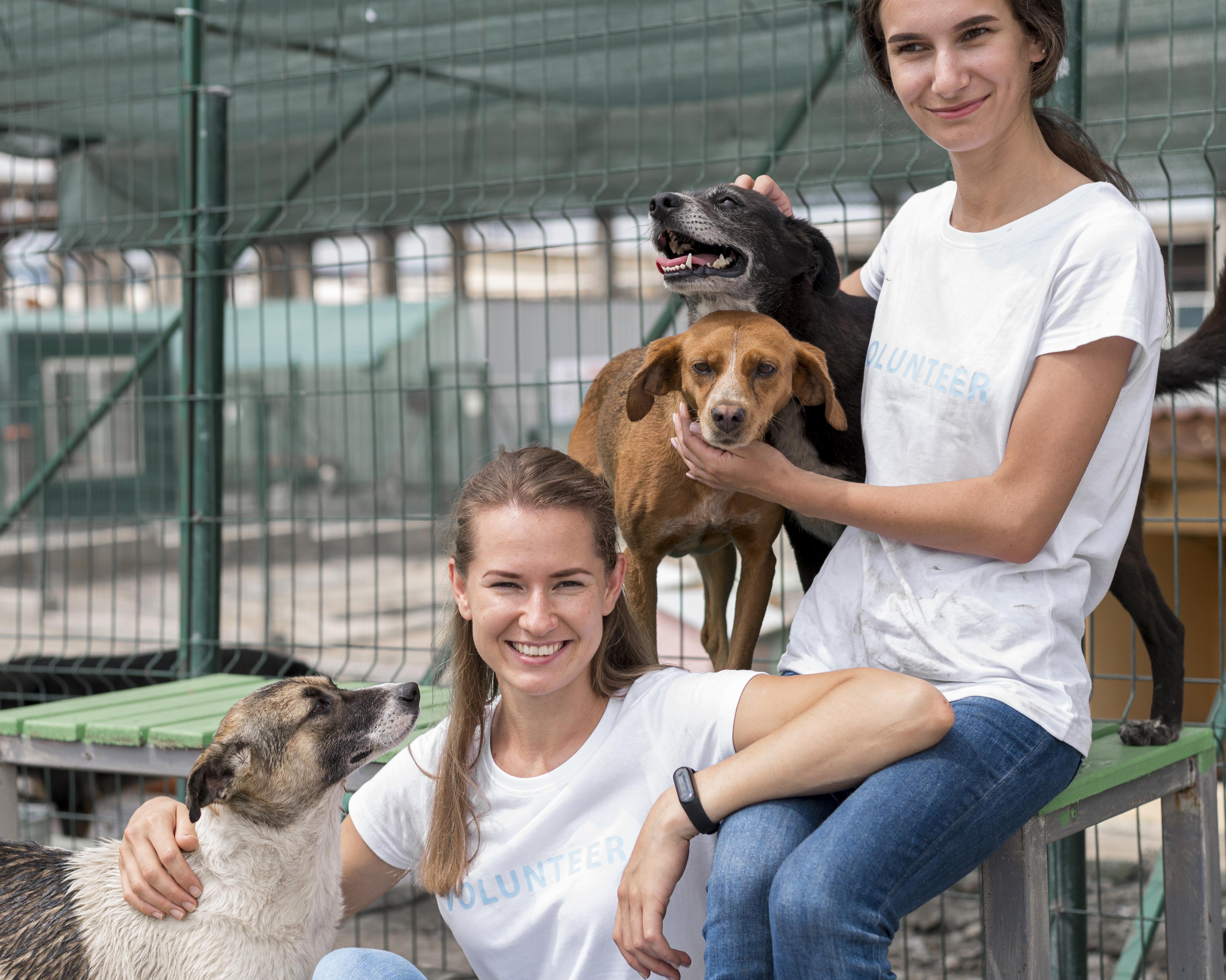 files/smiley-woman-spending-time-with-cute-rescue-dogs-shelter.jpg